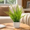 Succulent plant potted green plants, indoor landscape gardening decoration, creative bonsai, handcrafted succulent combination potted plants details Picture
